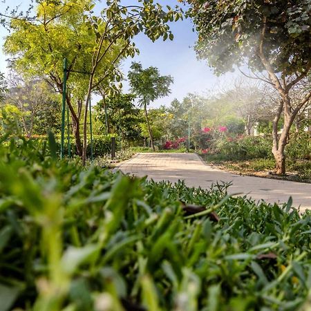 Stay By Latinem Luxury 2Br Holiday Home Cv B601 Near Burj Khalifa 迪拜 外观 照片